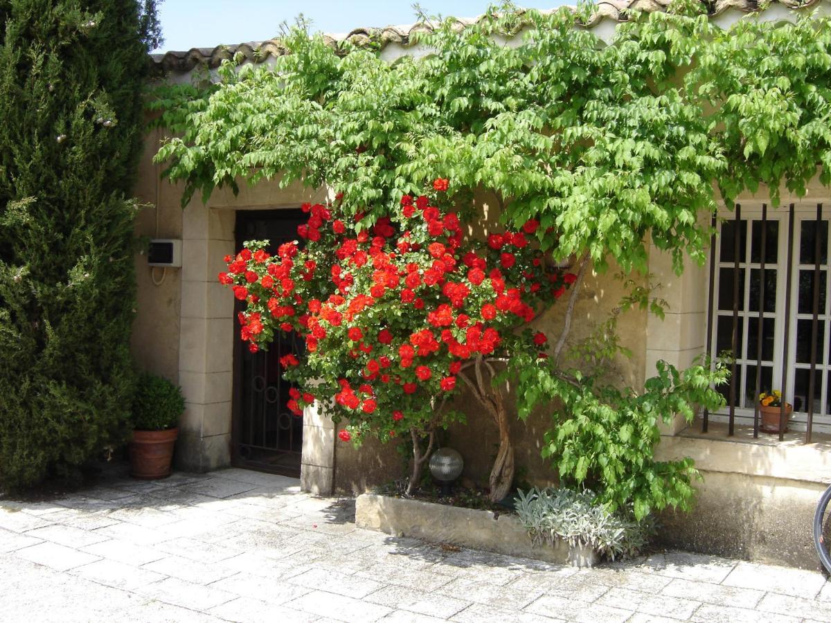 Mas Solige Carpentras Exterior foto